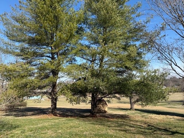 401 E Petty Ln, Winchester, TN 37398