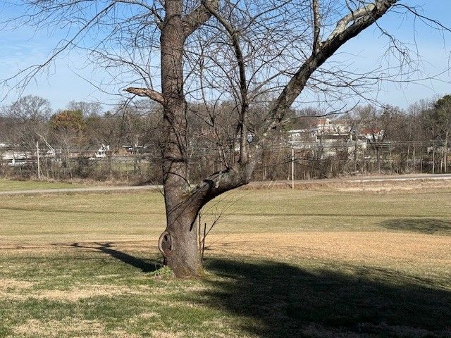 401 E Petty Ln, Winchester, TN 37398