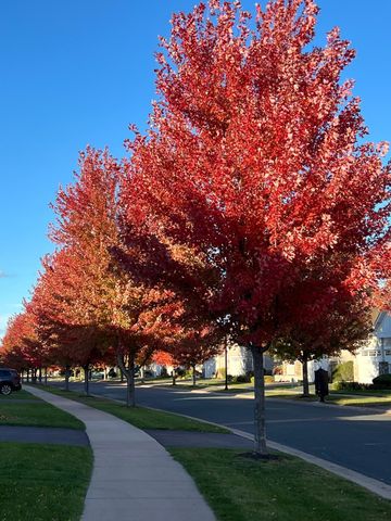 7425 Peony Lane N, Maple Grove, MN 55311