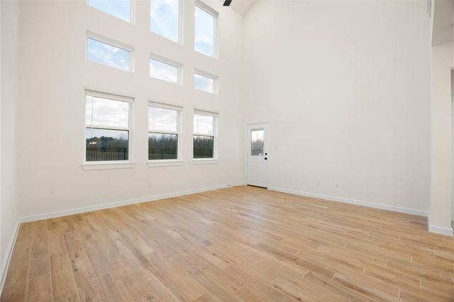 3406 Windmill Palm Drive, Manvel, TX 77578