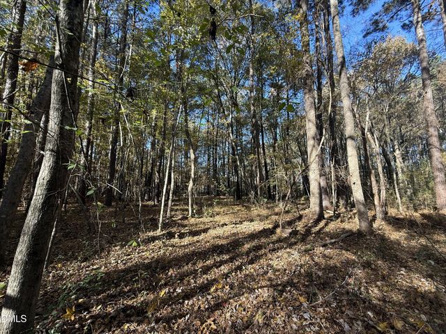 494 Bunn Elementary School Road, Bunn, NC 27508