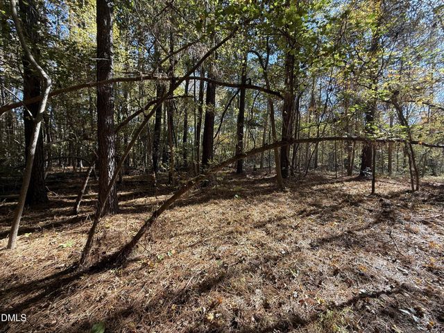 494 Bunn Elementary School Road, Bunn, NC 27508