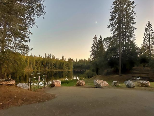 20210 Canyon View Rd, Jackson, CA 95642