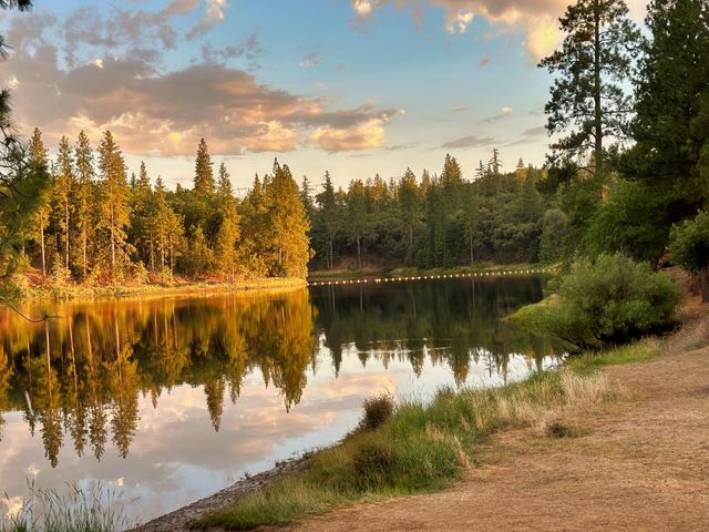 20210 Canyon View Rd, Jackson, CA 95642