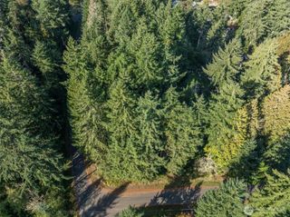 10102 104th Avenue, Anderson Island, WA 98303