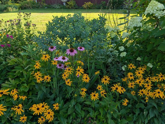 163 Martin Meadow Road, Plainfield, VT 05667