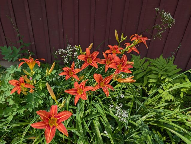 163 Martin Meadow Road, Plainfield, VT 05667