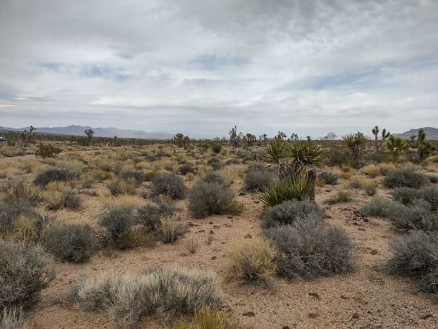 27402 N Peach Drive, Meadview, AZ 86444