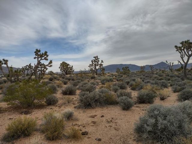 27402 N Peach Drive, Meadview, AZ 86444