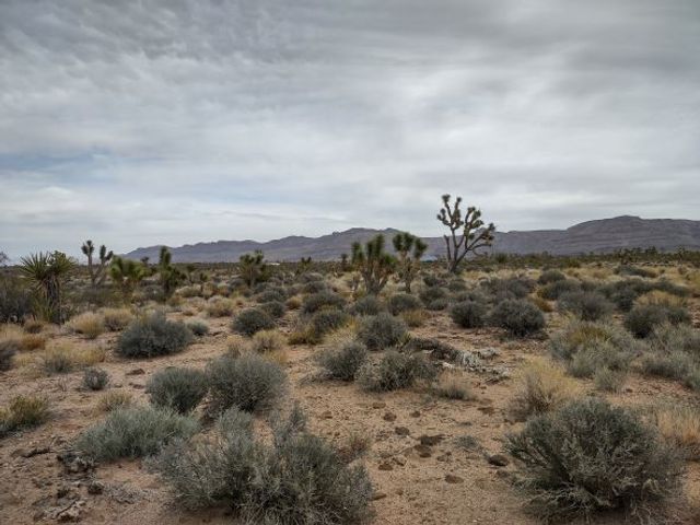 27402 N Peach Drive, Meadview, AZ 86444