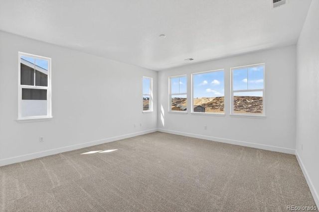 4063 Descent Street, Castle Rock, CO 80108