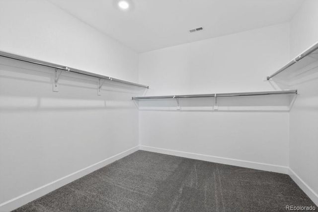 4063 Descent Street, Castle Rock, CO 80108