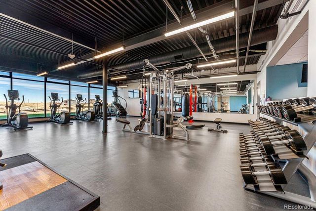 4063 Descent Street, Castle Rock, CO 80108