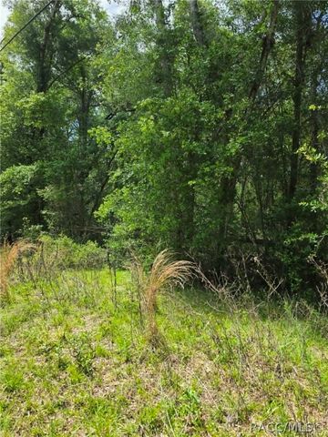 3629 E Diana Lane, Inverness, FL 34453