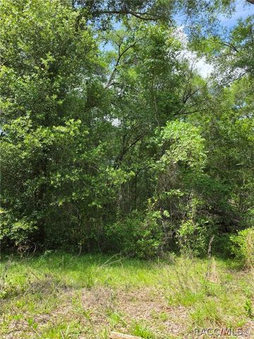 3629 E Diana Lane, Inverness, FL 34453