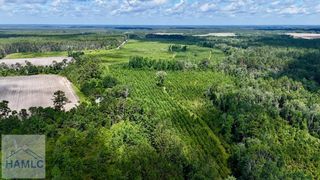 0 Bennett Mill Pond Road, Odum, GA 31555