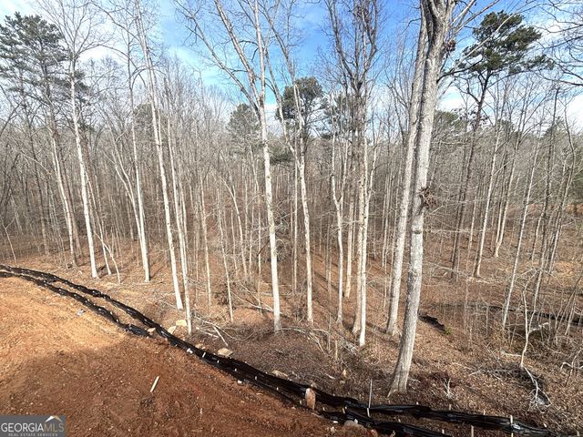 2012 Shoal Creek Way, Bishop, GA 30621