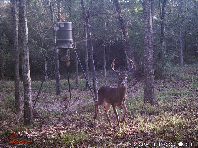 9832 Hawaii Lane, Midway, TX 75852