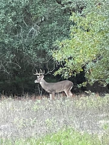 9832 Hawaii Lane, Midway, TX 75852