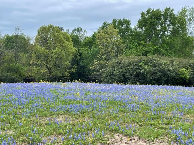 9832 Hawaii Lane, Midway, TX 75852