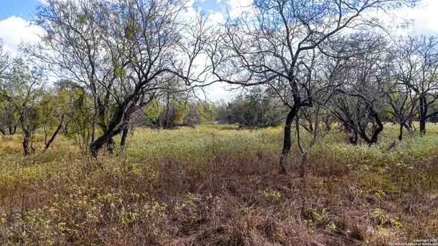 195 Cheyenne, Kingsbury, TX 78638