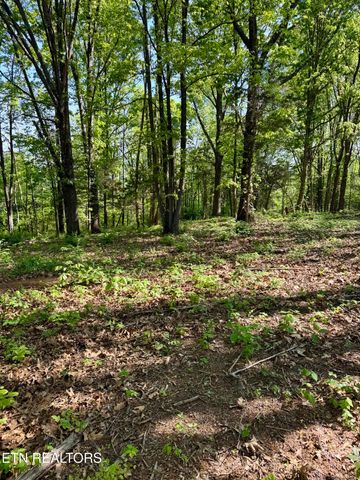 Carroll Rd, Morristown, TN 37813