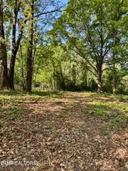 Carroll Rd, Morristown, TN 37813