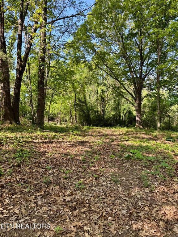 Carroll Rd, Morristown, TN 37813