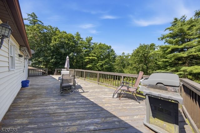 113 Deckertown Tpke, Montague Twp., NJ 07827