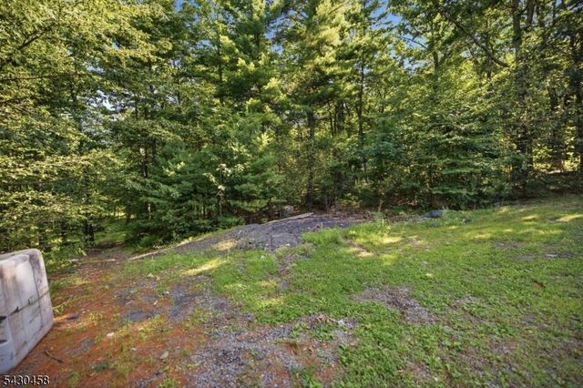113 Deckertown Tpke, Montague Twp., NJ 07827