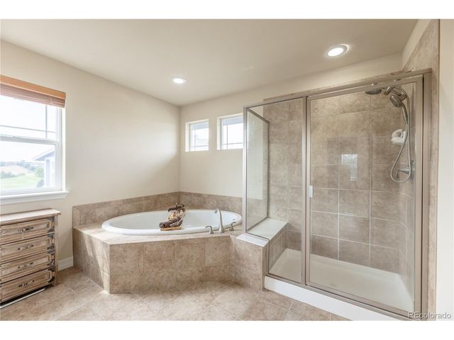 1650 Bent Wedge Pt, Castle Rock, CO 80109