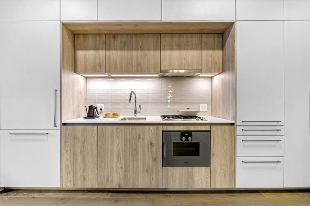 211 N Harbor Drive 3005, Chicago, IL 60601