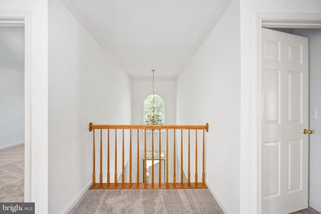 335 PRESTON DR, Warrenton, VA 20186