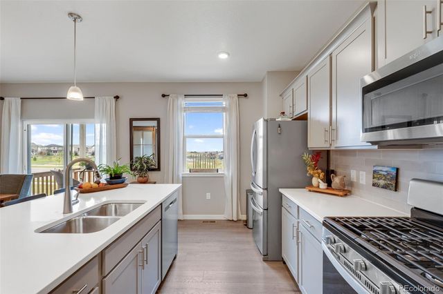 17955 Sky Pilot Avenue, Parker, CO 80134