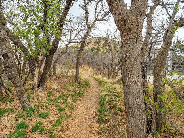 284 Crystal Park Road, Manitou Springs, CO 80829