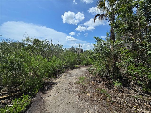 MAIN STREET, New Port Richey, FL 34652