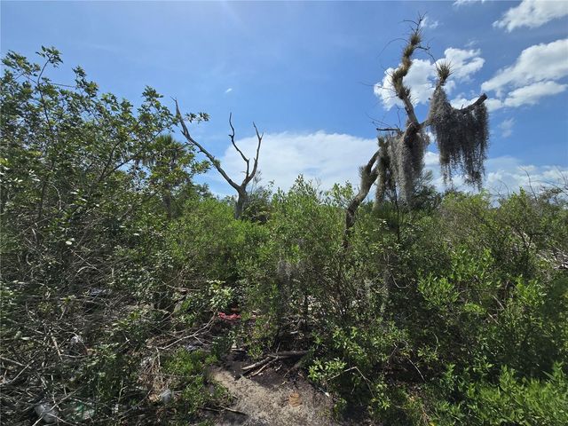 MAIN STREET, New Port Richey, FL 34652