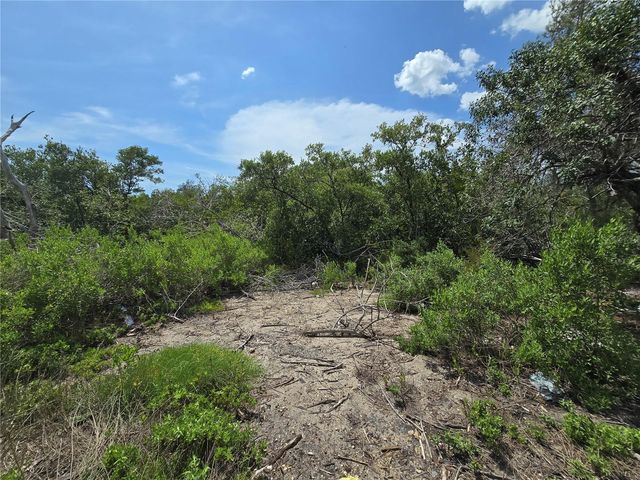 MAIN STREET, New Port Richey, FL 34652