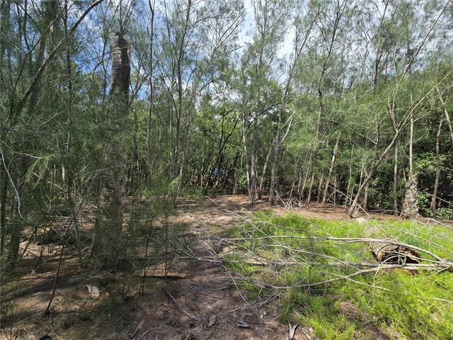 MAIN STREET, New Port Richey, FL 34652