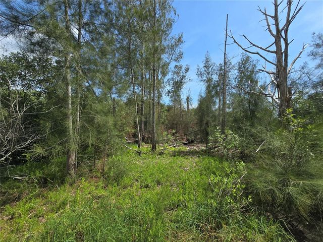 MAIN STREET, New Port Richey, FL 34652