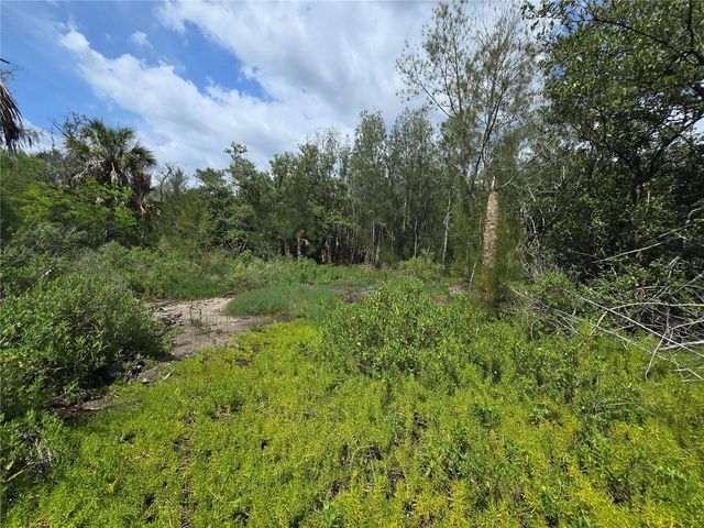 MAIN STREET, New Port Richey, FL 34652