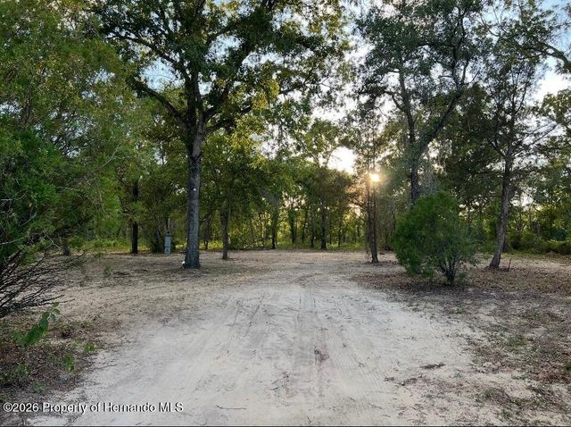 12055 Finch Road, Weeki Wachee, FL 34614