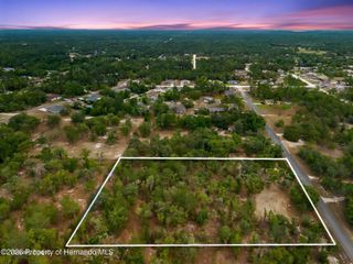 12055 Finch Road, Weeki Wachee, FL 34614