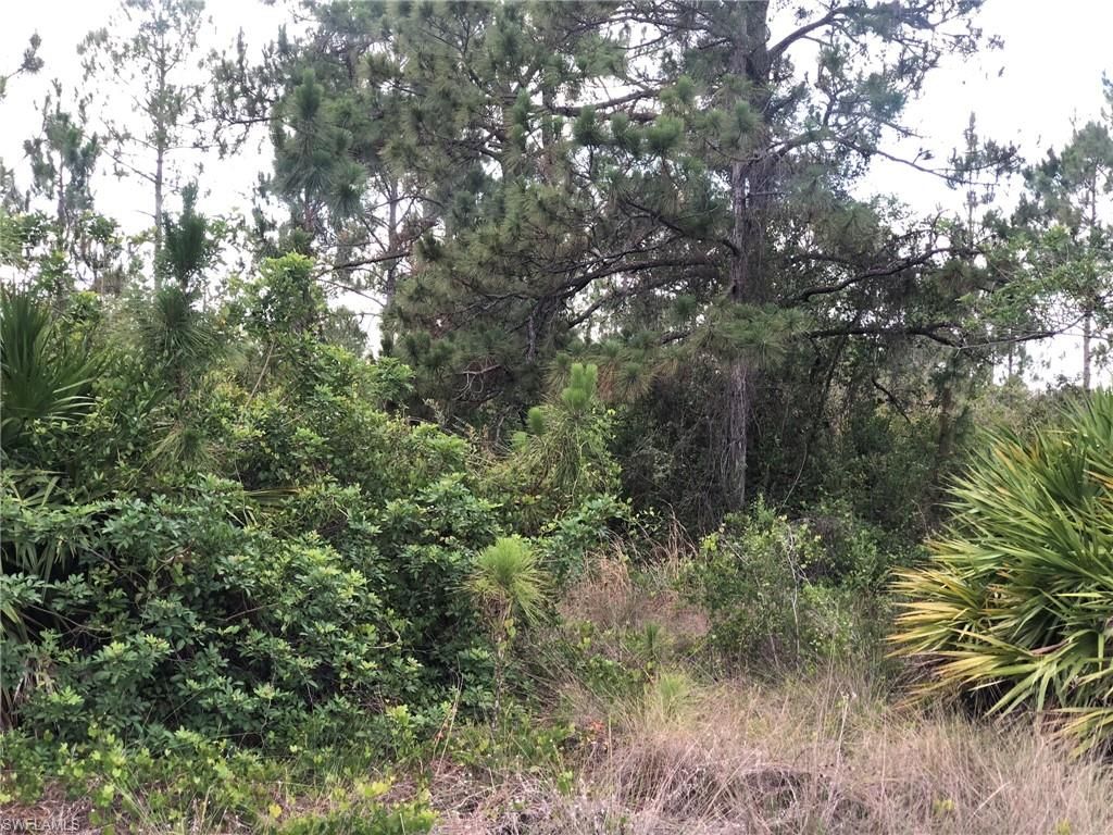 815 State AVE, LEHIGH ACRES, FL 33972 — photo 3