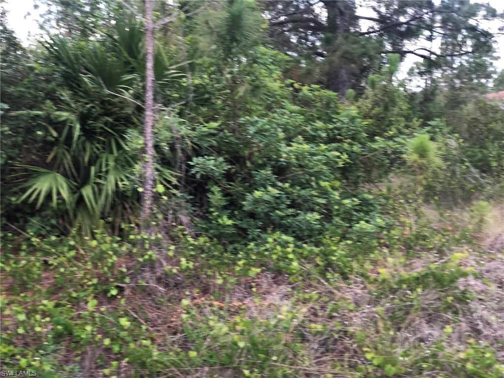 815 State AVE, LEHIGH ACRES, FL 33972 — photo 4