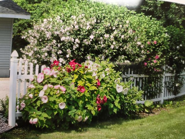 2791 Lakeshore Road, Dalton Twp, MI 49457