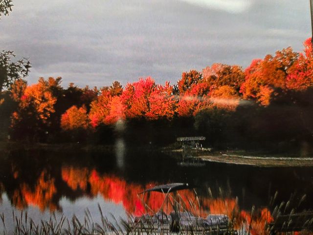 2791 Lakeshore Road, Dalton Twp, MI 49457