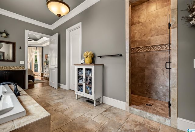236 RIVER OAKS DRIVE, Helena, AL 35080