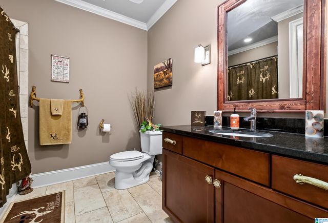 236 RIVER OAKS DRIVE, Helena, AL 35080