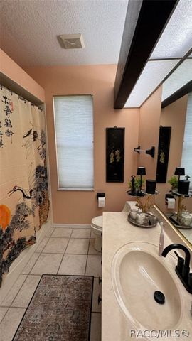 13 Sycamore Court W, Homosassa, FL 34446